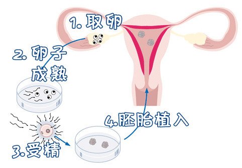 木棉医疗中心